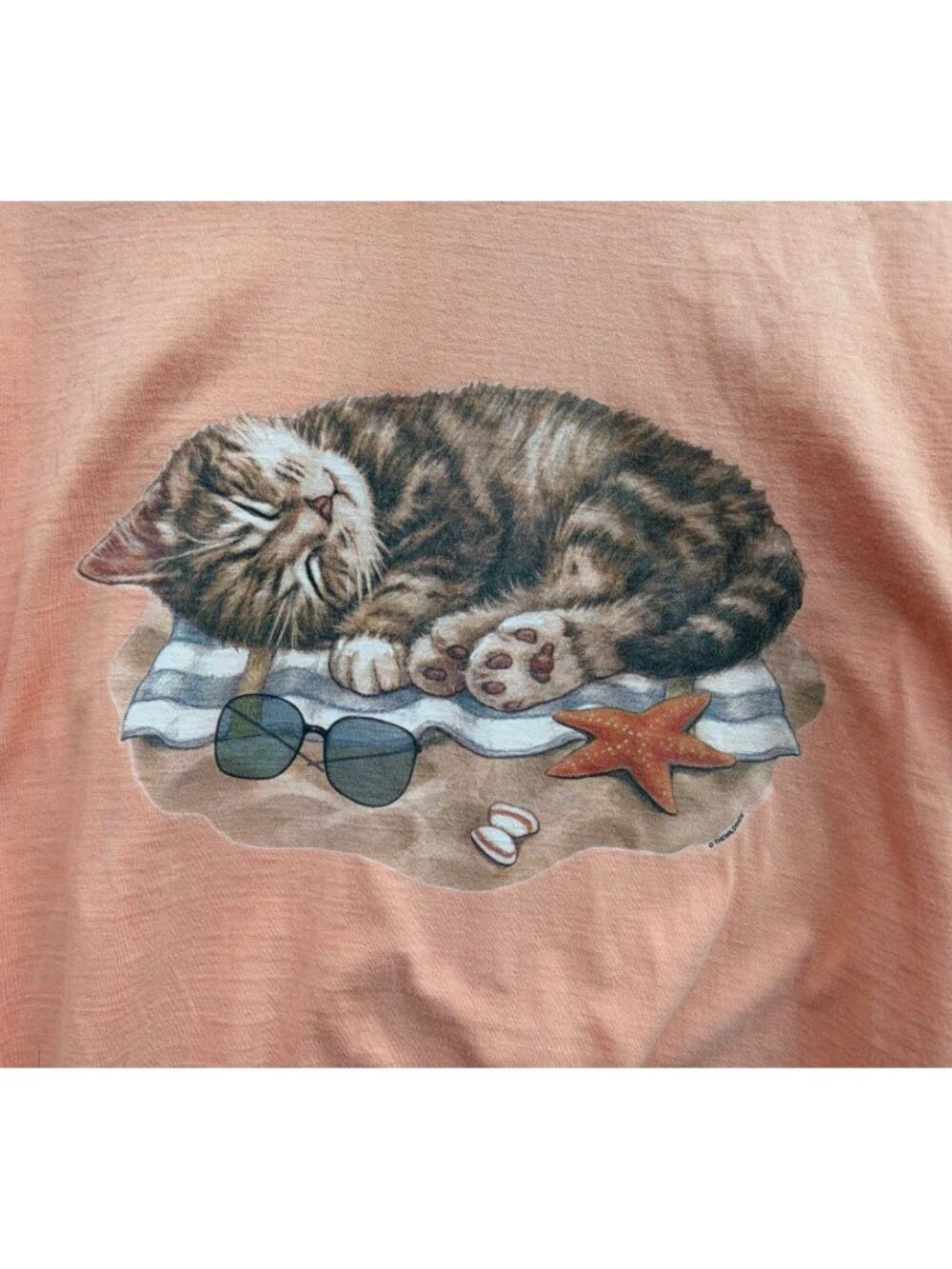VTG Single Stitch T Shirt 2X Kitten Tabby Beach Cropped Crazy Cat Lady OOAK Rare